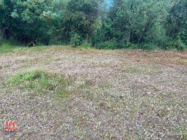ACC HOMESTAN KIZILLI BUCAK HARİKA MANZARADA 6575 M2 BAHÇE - Görsel 4