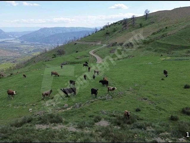 Hobi Bahçesi İçin İdeal Arazi - Görsel 5