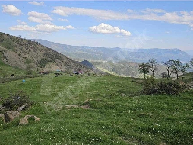Hobi Bahçesi İçin İdeal Arazi - Görsel 4