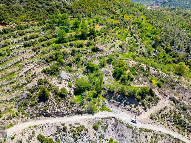 ANTALYA / ALANYA / GÜZELBAĞ FATİH MAHALLESİ - Görsel 8