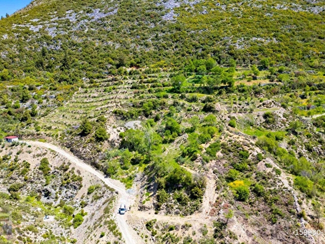 ANTALYA / ALANYA / GÜZELBAĞ FATİH MAHALLESİ - Görsel 19