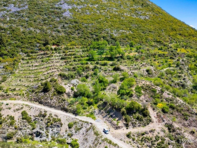 ANTALYA / ALANYA / GÜZELBAĞ FATİH MAHALLESİ - Görsel 9