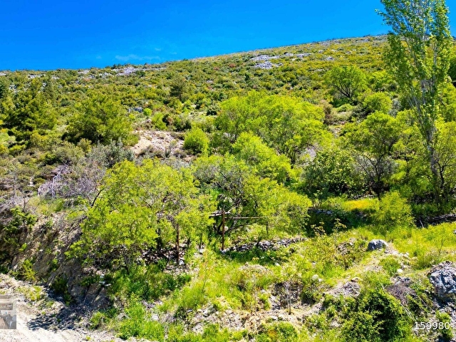 ANTALYA / ALANYA / GÜZELBAĞ FATİH MAHALLESİ - Görsel 6
