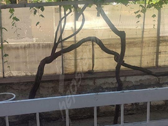 ÇİLPA EMLAKTAN YENİŞEHİR MAH SATILIK YÜKSEK GİRİŞ ZEMİN KAT - Görsel 14