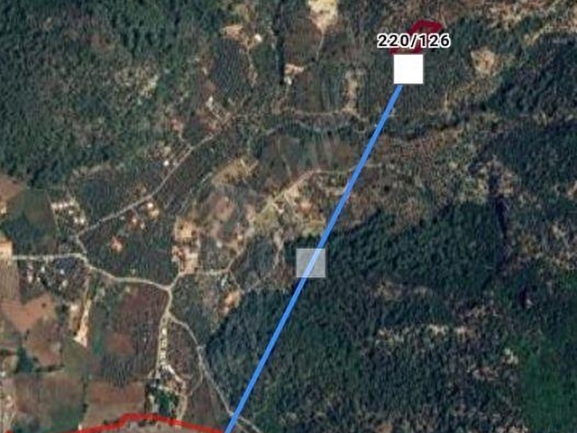 MUĞLA KÖYCEĞİZ EKİNCİKTE MÜKEMMEL DENİZ MANZARALI ZEYTİNLİK - Görsel 4