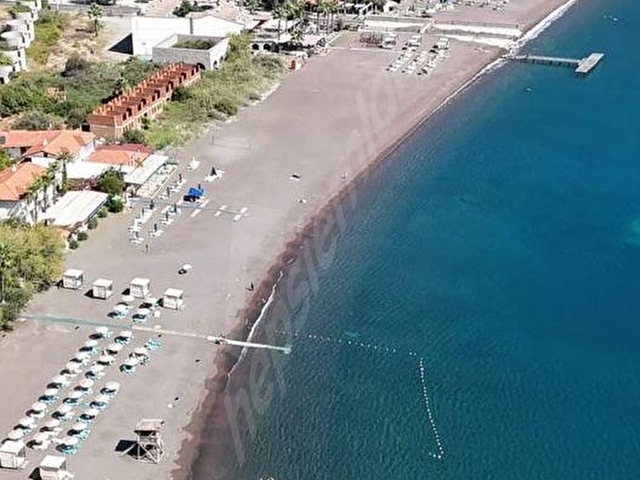 MUĞLA KÖYCEĞİZ EKİNCİKTE MÜKEMMEL DENİZ MANZARALI ZEYTİNLİK