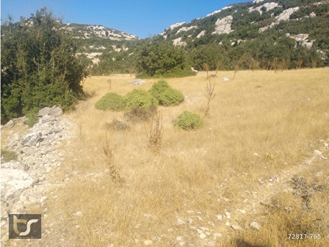 Antalya Döşemealtı Bademağacı Gölcük de Yatırımlık Muhteşem 10.424 m2 Tarla Vasfında Satılık Arazi - Görsel 7