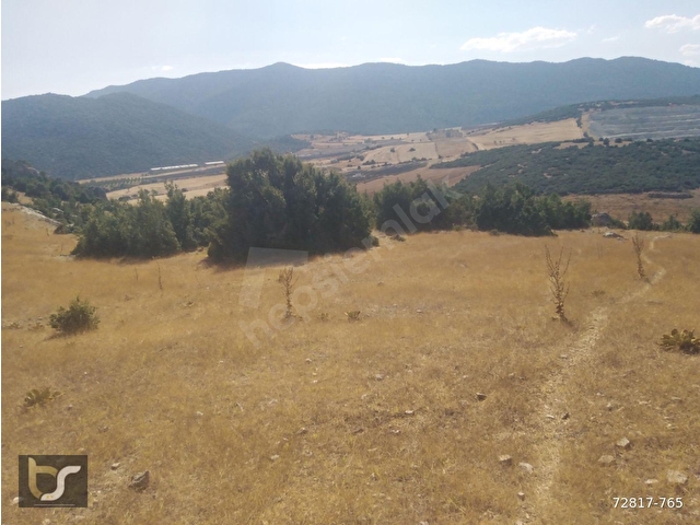 Antalya Döşemealtı Bademağacı Gölcük de Yatırımlık Muhteşem 10.424 m2 Tarla Vasfında Satılık Arazi - Görsel 4
