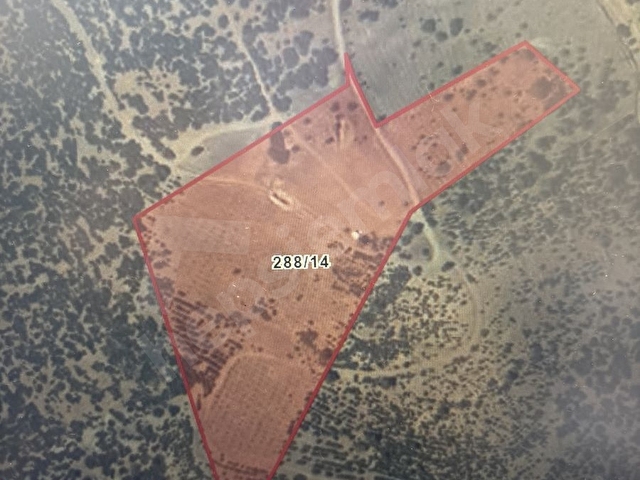 BURDUR EMLAK’TAN  KAVACIK KÖYÜ SULAK TARLA SATILIK - Görsel 2
