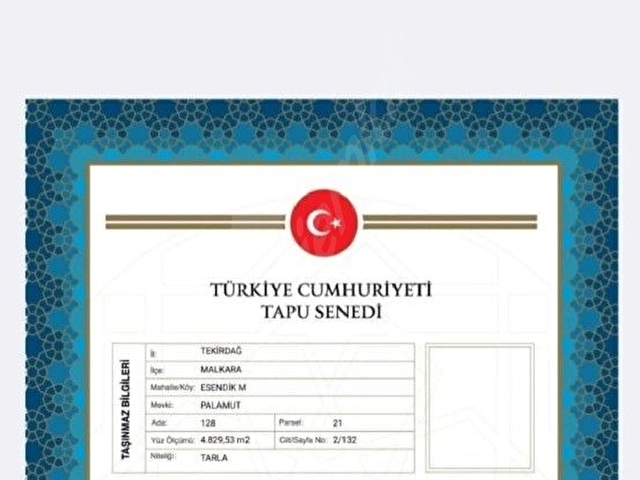 SAHİBİNDENDE ACIL KELEPIR 5 DÖNÜM TARLA ARAC TAKASI OLUR