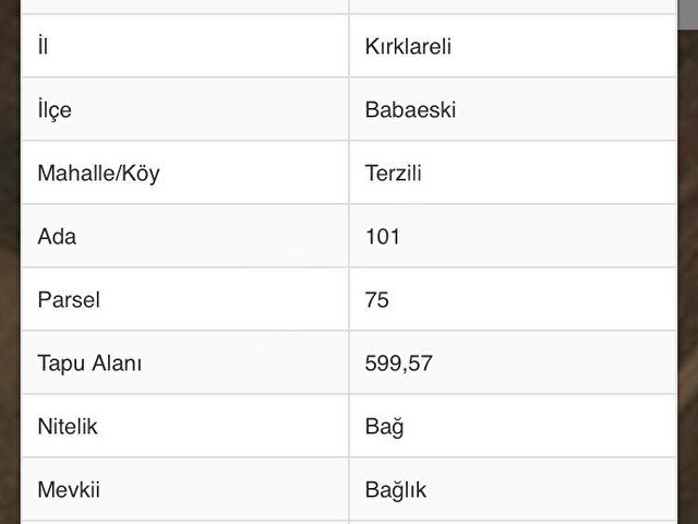 İF YAPIDAN BABAESKİDE KADASTROL YOLA CEPHE TEK TAPU KUPON ARSA - Görsel 19