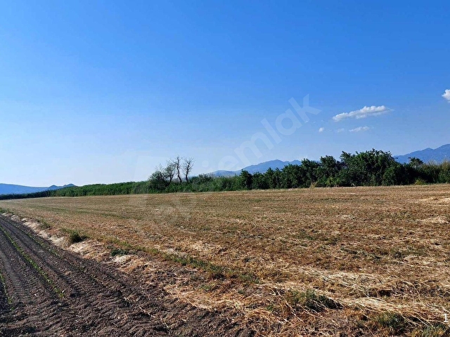 BERGAMA ZEYTİNDAĞ DA TARIM VE YATIRIM İÇİN DÜZ ARAZİ. - Görsel 17