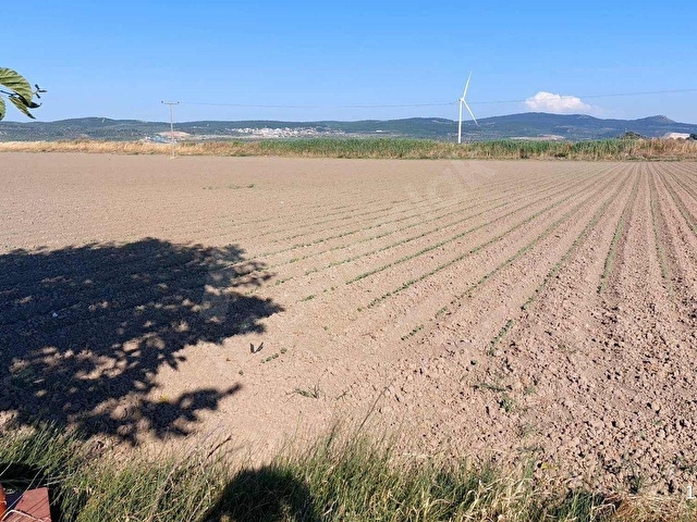 BERGAMA ZEYTİNDAĞ DA TARIM VE YATIRIM İÇİN DÜZ ARAZİ. - Görsel 4