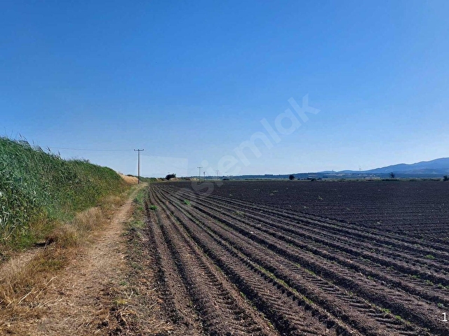 BERGAMA ZEYTİNDAĞ DA TARIM VE YATIRIM İÇİN DÜZ ARAZİ. - Görsel 15