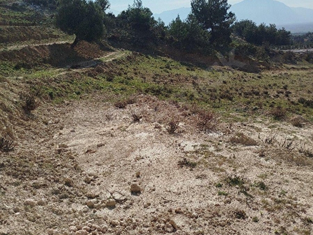 SARUHANLI GÜMÜLCELİ KÖYÜ 11.200 m2 SUYU OLAN TARLA SATILIK TIR. - Görsel 9