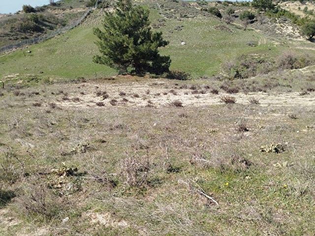 SARUHANLI GÜMÜLCELİ KÖYÜ 11.200 m2 SUYU OLAN TARLA SATILIK TIR. - Görsel 19