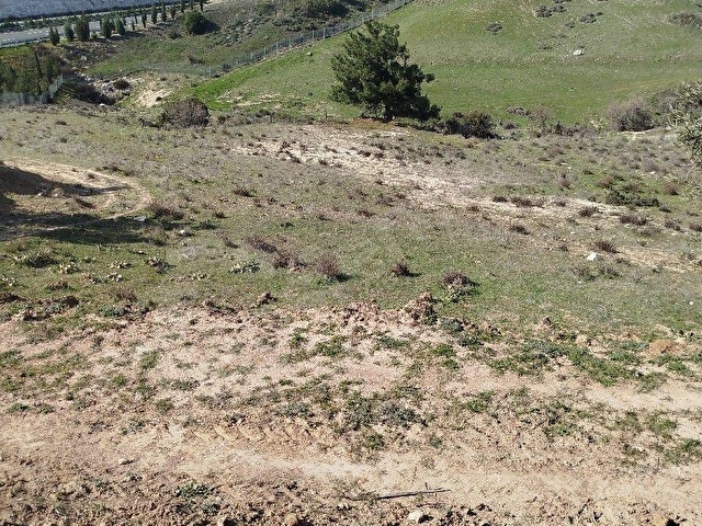 SARUHANLI GÜMÜLCELİ KÖYÜ 11.200 m2 SUYU OLAN TARLA SATILIK TIR. - Görsel 22