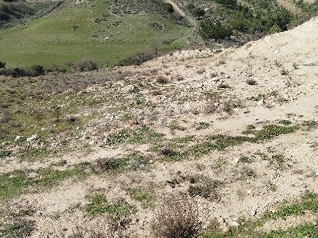 SARUHANLI GÜMÜLCELİ KÖYÜ 11.200 m2 SUYU OLAN TARLA SATILIK TIR. - Görsel 23