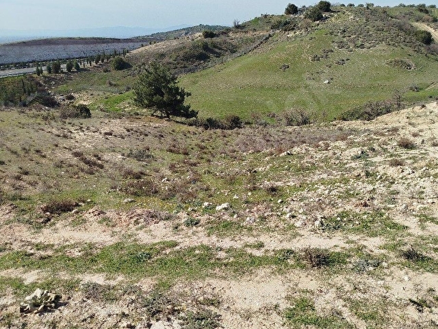 SARUHANLI GÜMÜLCELİ KÖYÜ 11.200 m2 SUYU OLAN TARLA SATILIK TIR. - Görsel 24