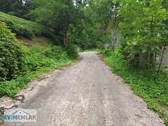 🏠 EVİM EMLAK GAYRİMENKUL DANIŞMANLIK SATILIK ARSA - Görsel 14