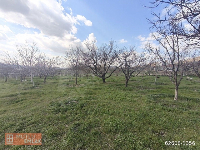MUTLU EMLAKTAN HALKAPINARDA 4209 M2 BAHÇELİ 2 KATLI MÜSTAKİL EV(TAKASLI) - Görsel 12