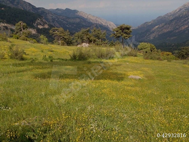 OVACIK KEMER DE İYİ YATIRIM FIRSATI SAHİBİNDEN SATILIK İMARLI ARSA MÜSTAKİL TAPU
