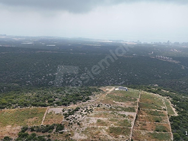 ERDEMLİ KUMKUYUÇANAKÇI 538 M2 FULL DENİZ MANZARALI VİLLALIK ARSA - Görsel 7
