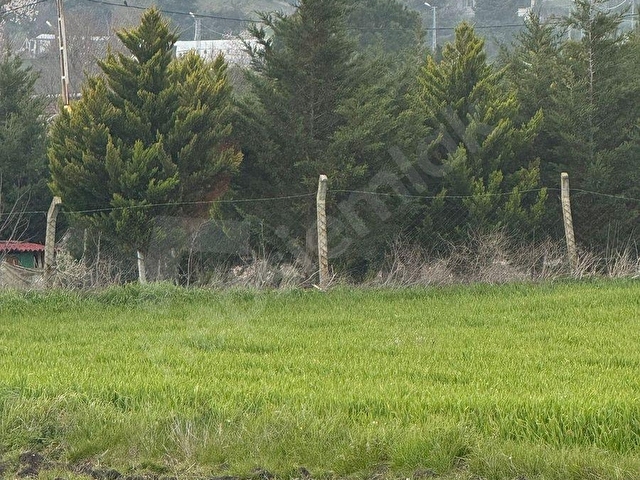 DEĞİRMENKÖYDE 285 m² FULL DENİZ DOĞA MANZARALI - Görsel 5