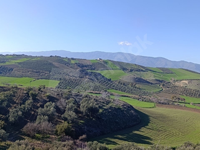 ANTAKYA ÜZÜMDALINDA İMARLI İFRAZLI ARSA - Görsel 5