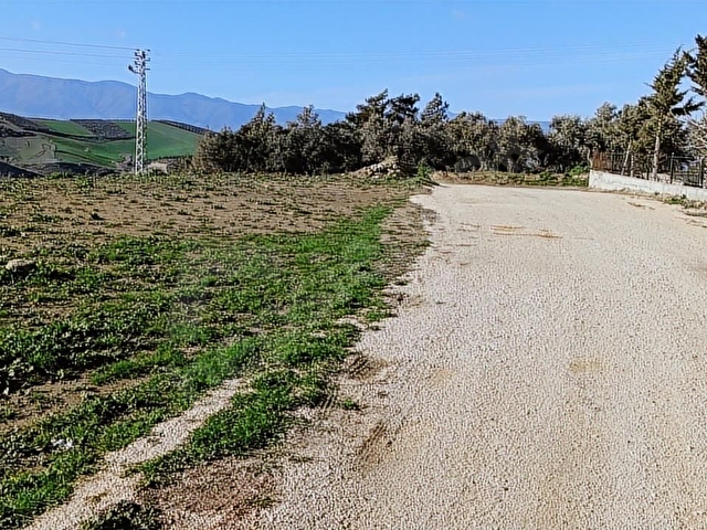 ANTAKYA ÜZÜMDALINDA İMARLI İFRAZLI ARSA - Görsel 4