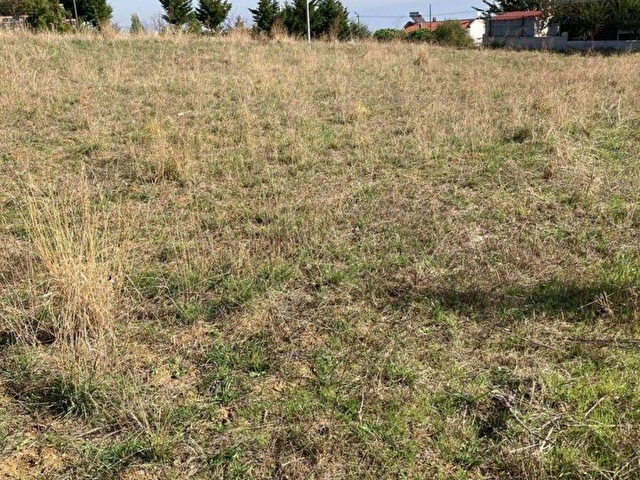Tekirdag Barbaros Topagac Mevkinde Istanbul Seyahat Evleri Arkas 8709 984 Hurriyet Emlak