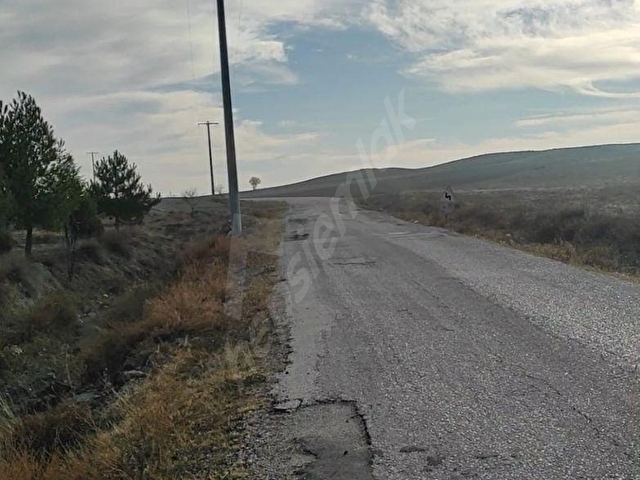 BURDUR YEŞİLOVA KAVAK KÖYÜNDE SALDA GÖLÜ YAKININDA  1.000 M2 SATILIK TARLA.... - Görsel 7
