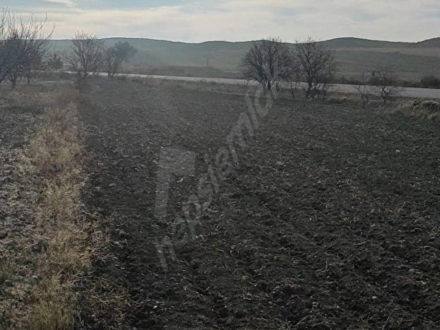 BURDUR YEŞİLOVA KAVAK KÖYÜNDE SALDA GÖLÜ YAKININDA  1.000 M2 SATILIK TARLA.... - Görsel 9