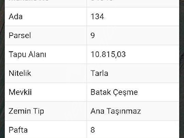 ACİL FİYAT DÜŞTÜ Lalapaşa Sarıdaşmentte Asfalt Cepheli 10.815 m² Satılık Tarla - Görsel 7