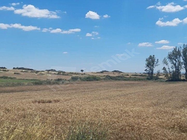 ACİL FİYAT DÜŞTÜ Lalapaşa Sarıdaşmentte Asfalt Cepheli 10.815 m² Satılık Tarla - Görsel 14