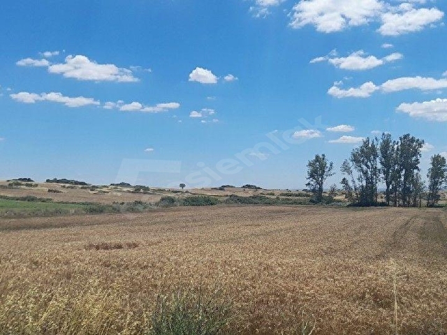 ACİL FİYAT DÜŞTÜ Lalapaşa Sarıdaşmentte Asfalt Cepheli 10.815 m² Satılık Tarla - Görsel 16