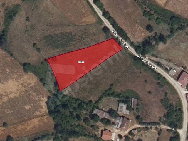 Kavak Köseli Satılık