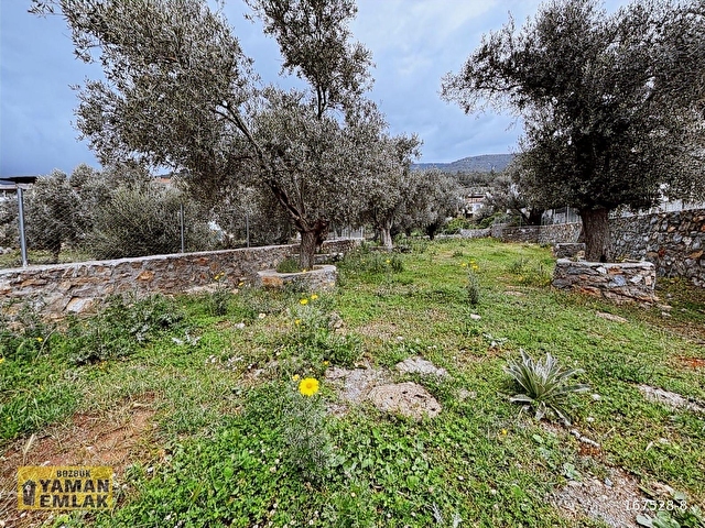 MİLAS - KAZIKLI KÖY İÇİ SATILIK İMARLI 497 M2 ARSA - Görsel 6