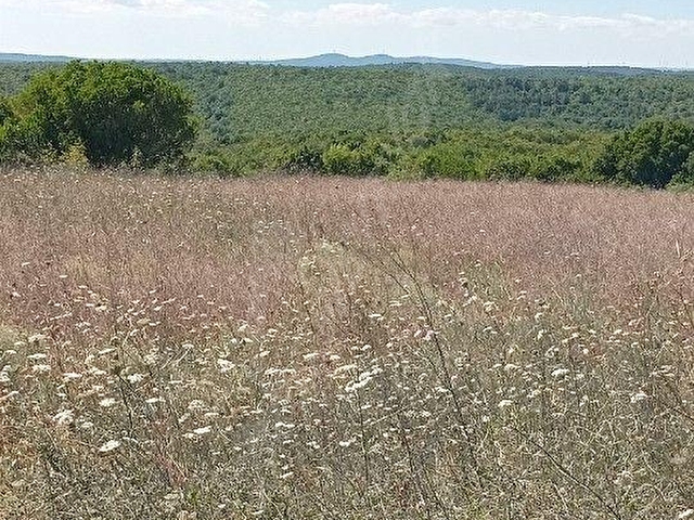 Arnavutköy Durusu Parkta muhteşem konuma ve manzaraya sahip arsa - Görsel 8