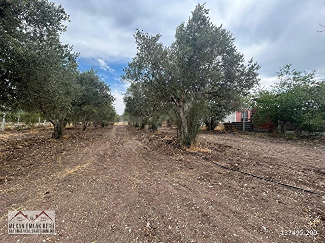 Acile çektik- Bahadır Mh. 2300m² evi deposu olan imarlı arsa - Görsel 26