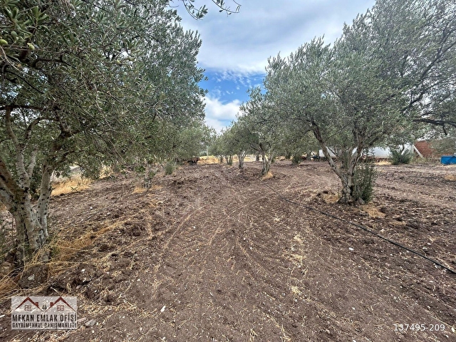 Acile çektik- Bahadır Mh. 2300m² evi deposu olan imarlı arsa - Görsel 23