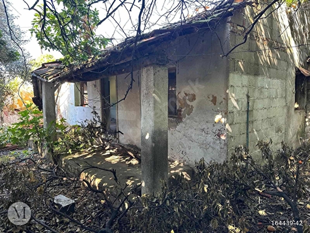 Satılık bahçeli köy evi - Görsel 3