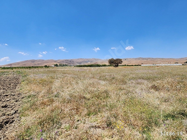 Korkuteli taşkesiğinde 4567m2 acil satılık - Görsel 4