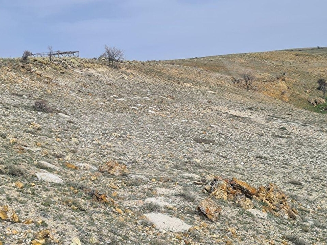 Ayaş Başayaş Mah. 4252m2 Tek Tapu Satılık Tarla - Görsel 12