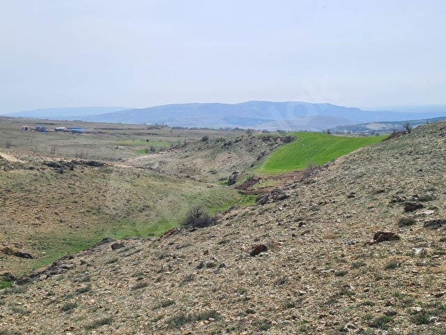 Ayaş Başayaş Mah. 4252m2 Tek Tapu Satılık Tarla - Görsel 22