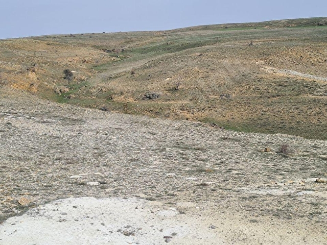 Ayaş Başayaş Mah. 4252m2 Tek Tapu Satılık Tarla - Görsel 29