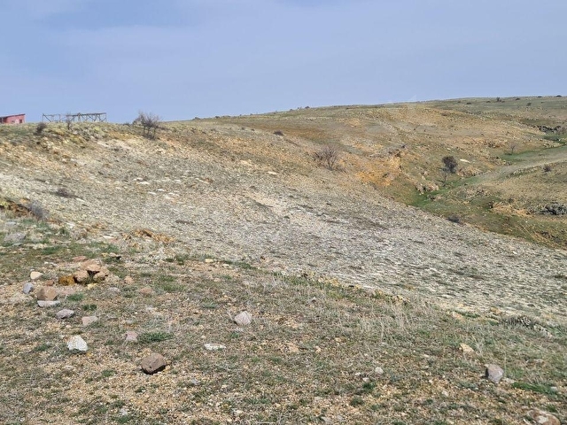Ayaş Başayaş Mah. 4252m2 Tek Tapu Satılık Tarla - Görsel 16
