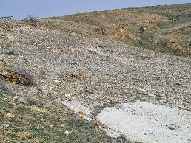 Ayaş Başayaş Mah. 4252m2 Tek Tapu Satılık Tarla - Görsel 28