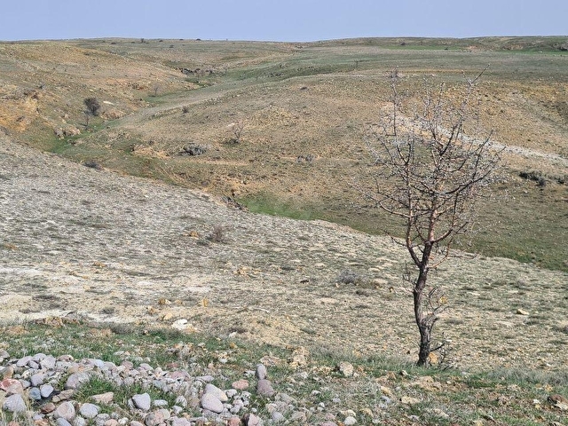 Ayaş Başayaş Mah. 4252m2 Tek Tapu Satılık Tarla - Görsel 24