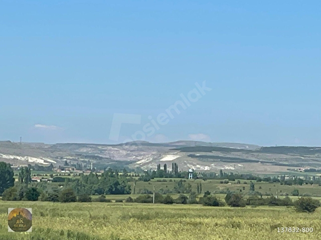 kütahya merkez yoncalı karaağaç satılık tarla - Görsel 21